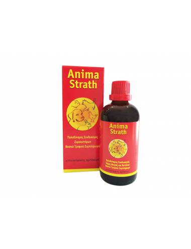 Anima Strath Φυσικό Πολυβιταμινούχο Συμπλήρωμα Διατροφής Σε Σιρόπι 100 ml.