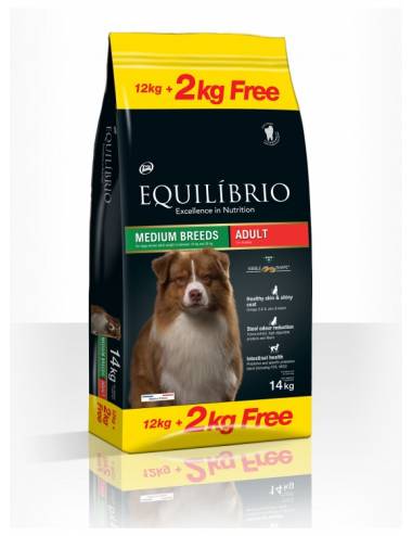 Equilibrio Adult Dogs - Active