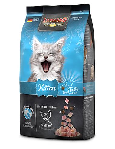 Leonardo Kitten Chicken