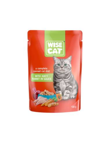 WISE CAT WITH JUICY RABBIT...
