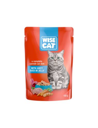WISE CAT WITH JUICY DUCK IN...