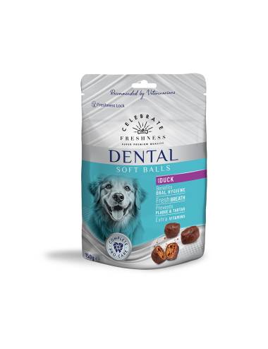 Celebrate Freshness Dental...